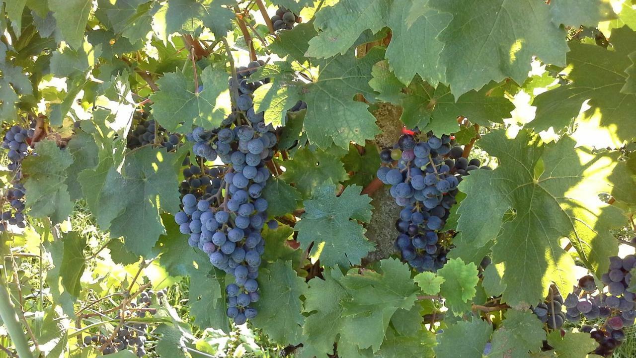 Agriturismo Le Giarine Fogliano Redipúglia Zewnętrze zdjęcie
