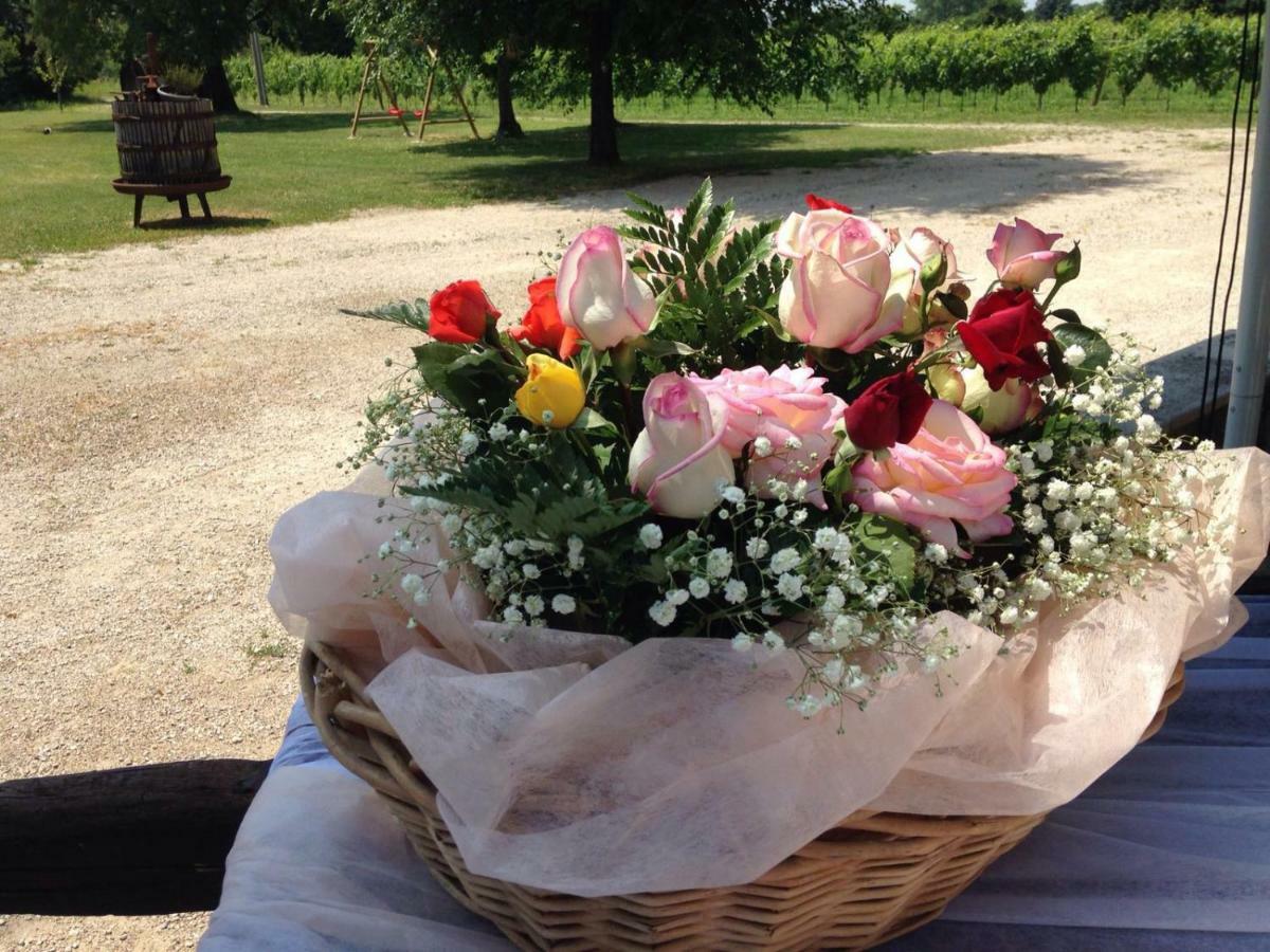Agriturismo Le Giarine Fogliano Redipúglia Zewnętrze zdjęcie