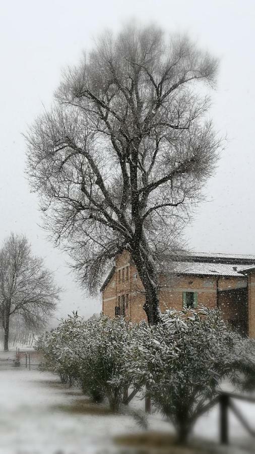 Agriturismo Le Giarine Fogliano Redipúglia Zewnętrze zdjęcie
